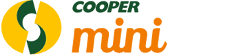 Cooper Mini
